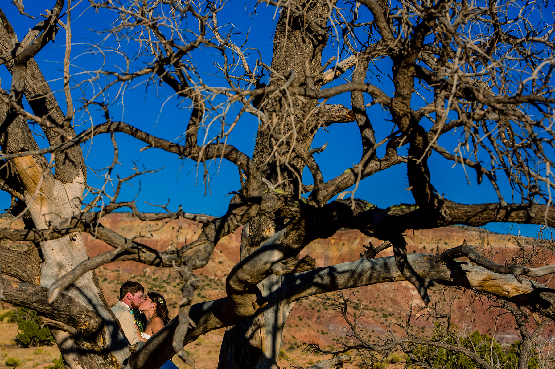 chelsea-and-brandon-ghost-ranch-wedding-2015-1018