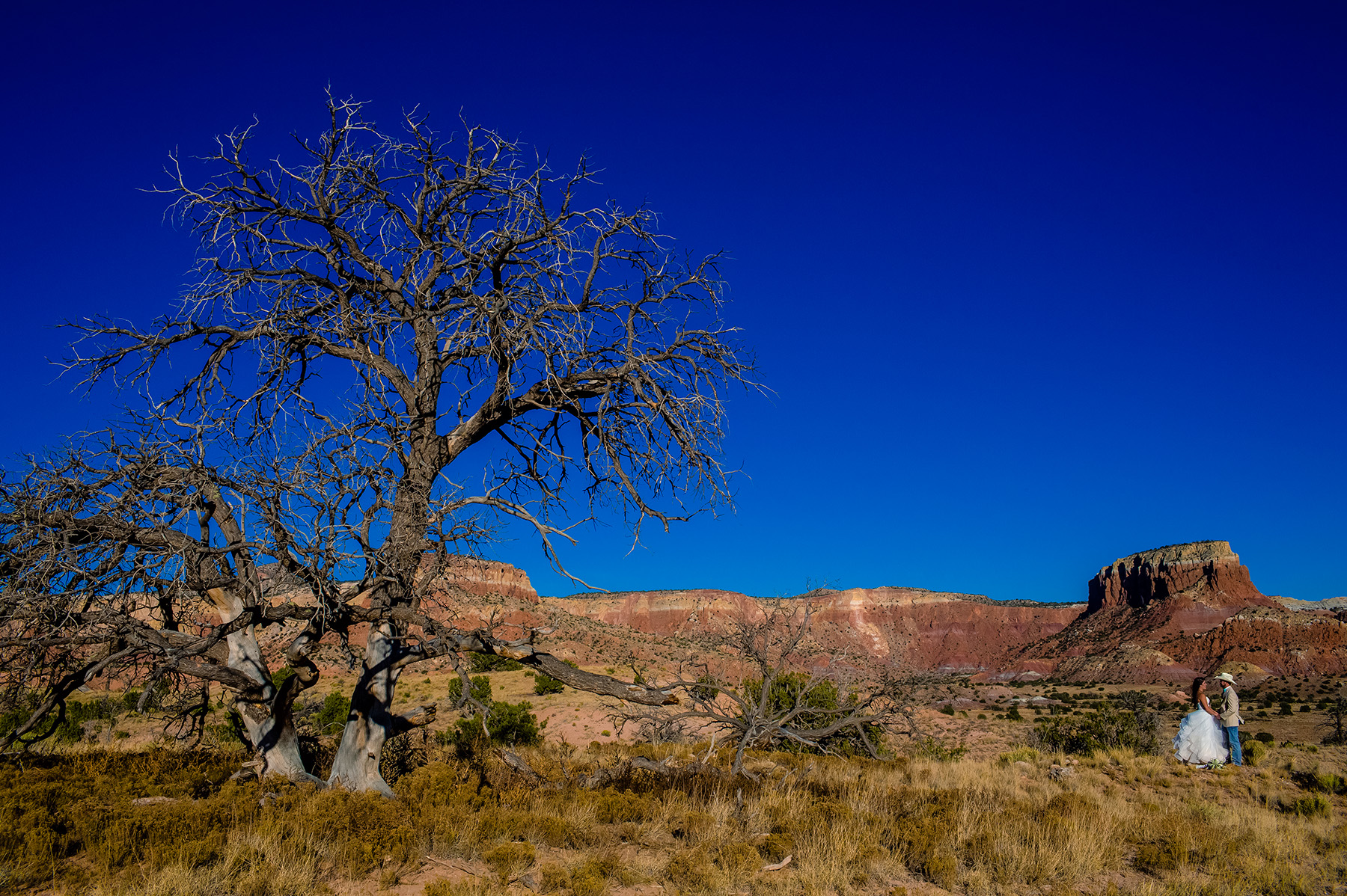 chelsea-and-brandon-ghost-ranch-wedding-2015-1020