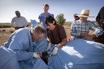 Dr Eric Davis, founder of RAVS, performs castration surgery with the help of Jena Valdez, a 4th year DMV student at Colorado State and the intern for RAVS, on Red a 5 year old Sorrow Quarter Horse as Laura Ahlgrim a 3rd year DMV student at UC Davis and owner Matt Wallis watch.