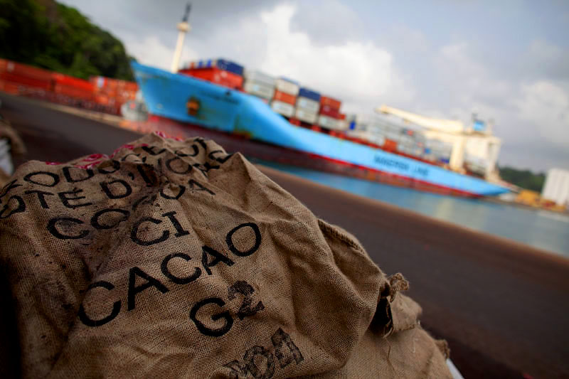 Thousands of empty cocoa sacks sit on the dock due the ongoing crisis in Abidjan, at the San Pedro Port in Ivory Coast in January 2011. The San Pedro Port is the primary point for exporting raw materials, especially cocoa, out of the country. At times, cocoa sacks are emptied into vacuum containers as a method of transport overseas.
