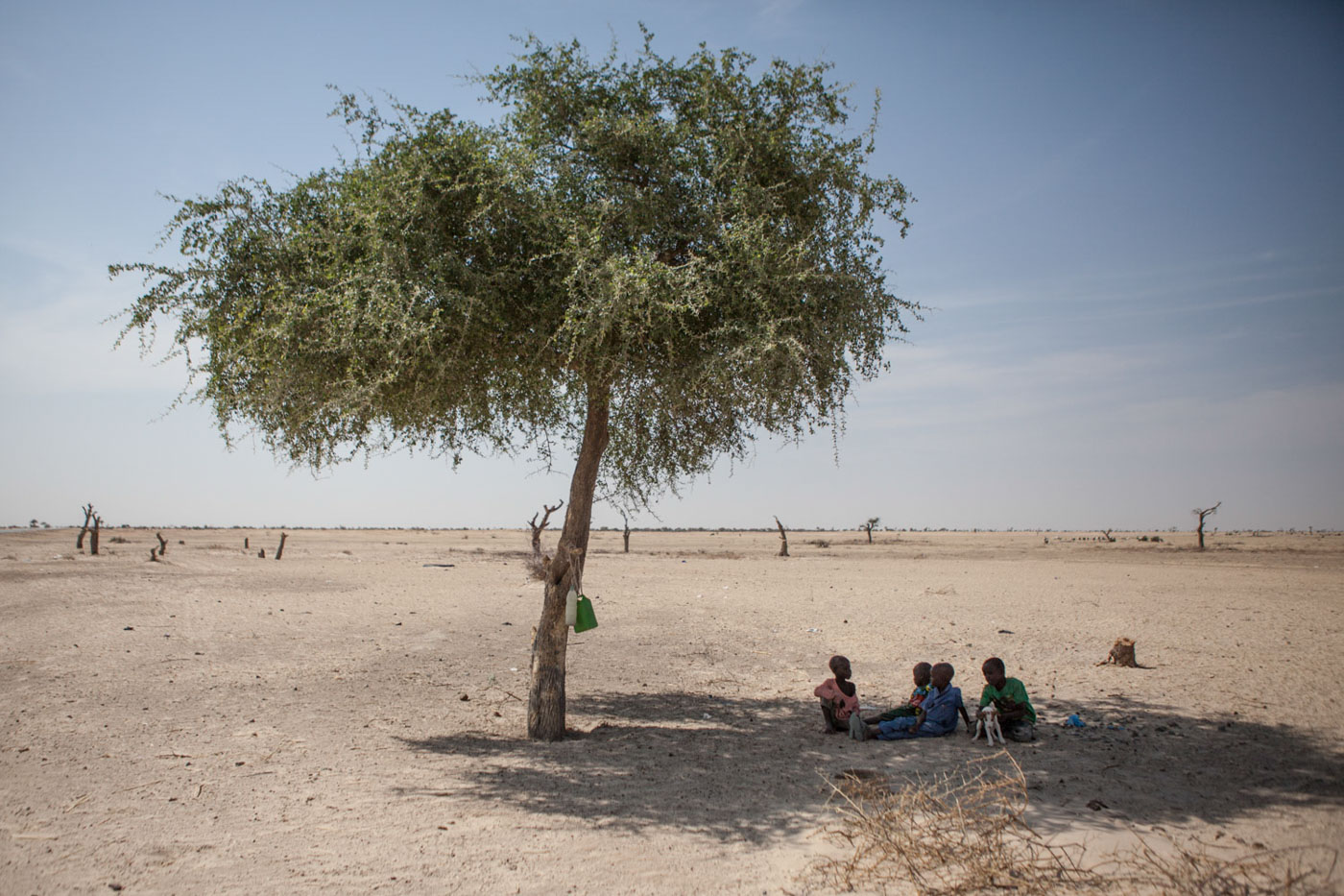 Boys, originally from Yebi, Nigeria, sit under the last remaining tree across from Garin Wanzam Camp in Diffa, Niger.Garin Wanzam Camp is the largest camp in the region hosting almost 23,000 displaced people. Many cut down trees in the area in order to help reduce the cost of firewood which can cost up to 30-40 percent of a family's monthly budget. 300,000 people displaced by the Boko Haram crisis are taking refuge in southern Niger, straining the already vulnerable environment of the Lake Chad Basin. 