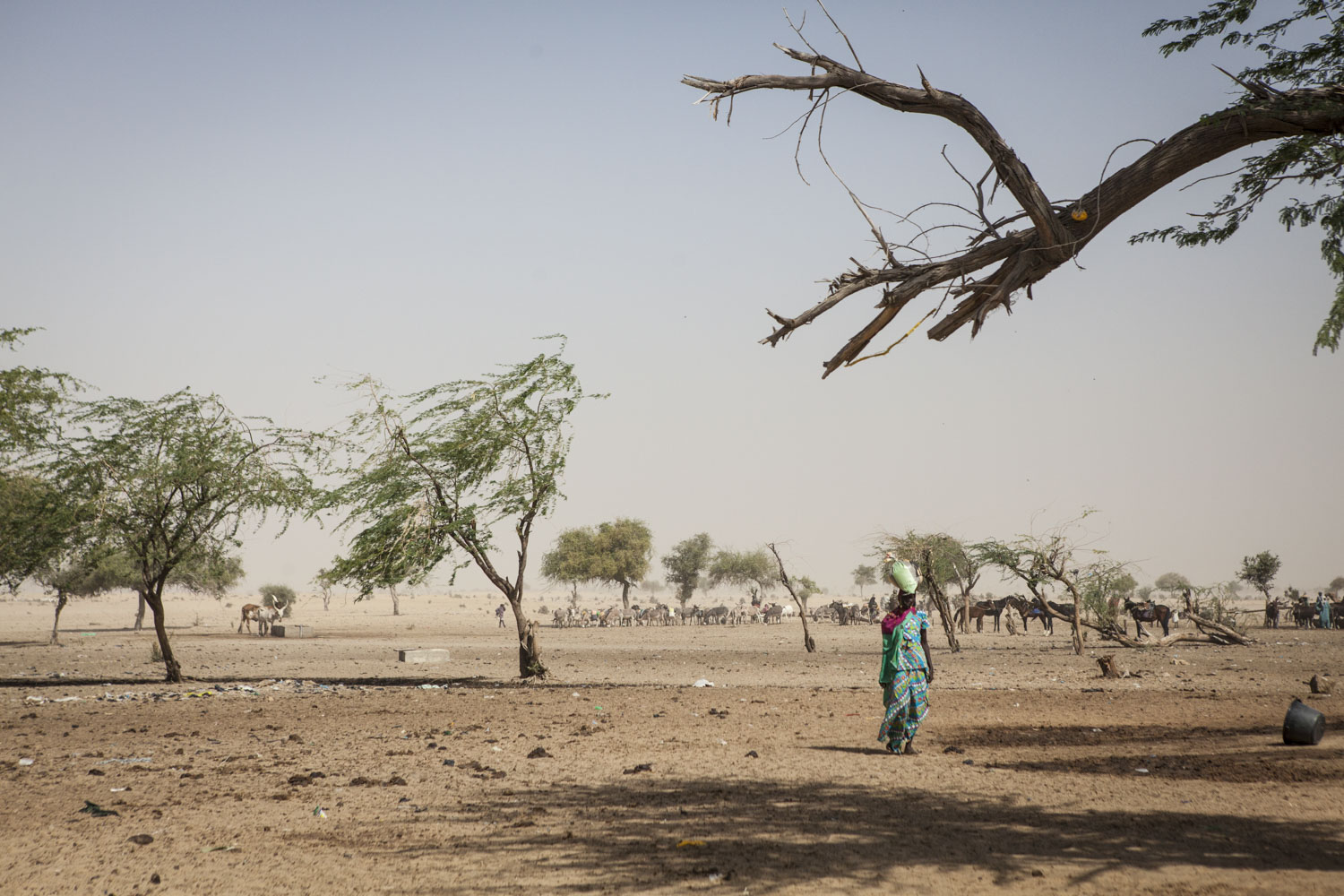 Diffa, Niger- A woman walks through Kindjandi IDP camp in Diffa, Niger. (Jane Hahn)