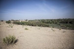 Farmland meets desert in Bagasola, Chad