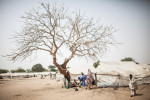 A woman feeds children taking shelter under a bare tree from the mid day sun at the Dalori Internally Displaced Persons Camp in Maiduguri, Nigeria. The Dalori IDP camp was established in March 2015 and holds close to 20,000 people from across Borno State. Maiduguri, the capitol, houses over 1.6 million displaced with over 100,000 in official camps and the rest living in host communities and informal camps across the city. 