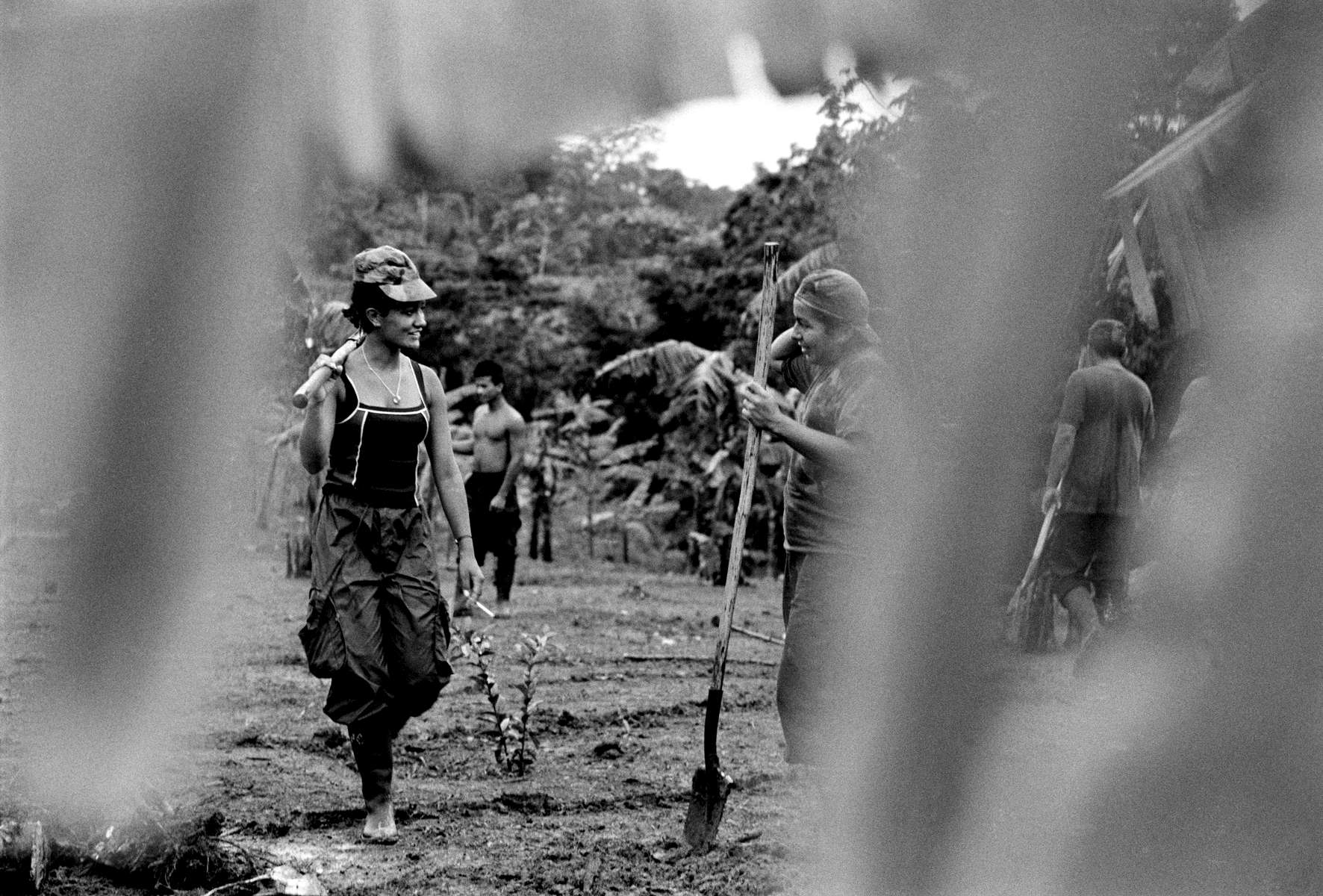 FARC working in the fields, Caqueta region, Colombia 2000