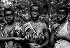 Portrait of 3 pygmy girls, Equatorial northern province, DRCongo 2004