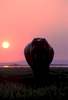 A lone elephant bull at sunset in Bumi Hills, Zimbabwe