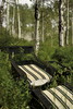 private aspen grove ~ telluride