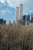 WTC-wheat-Public-Art-Fund-copy