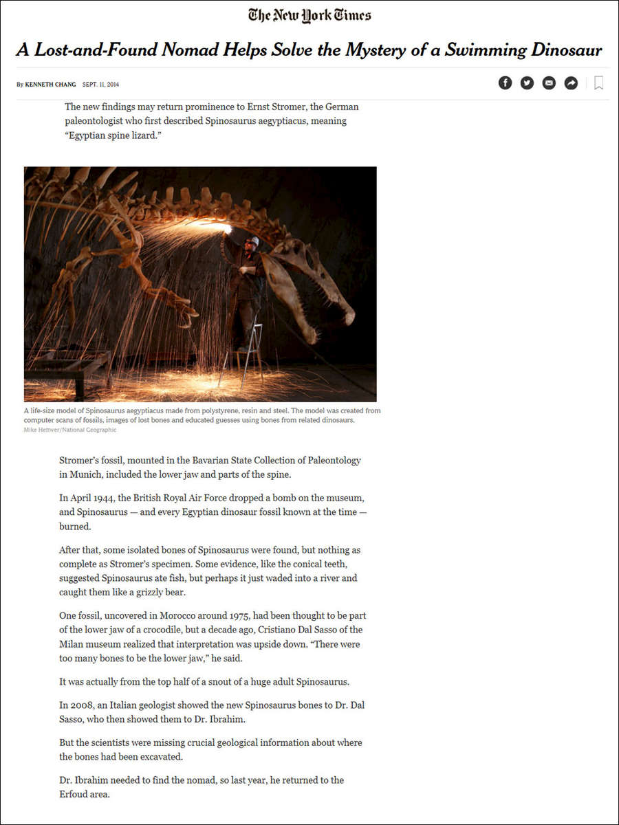 NY-Times-Spinosaur---Hettwer