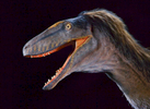 ST---Raptor-Rex-Dinosaur---2016---2C