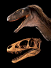 ST-Raptor-Rex-dinosaur---2016