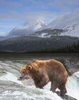 Alaska Bear Mountain