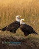 Eagle-Mates-Sept-24_2158