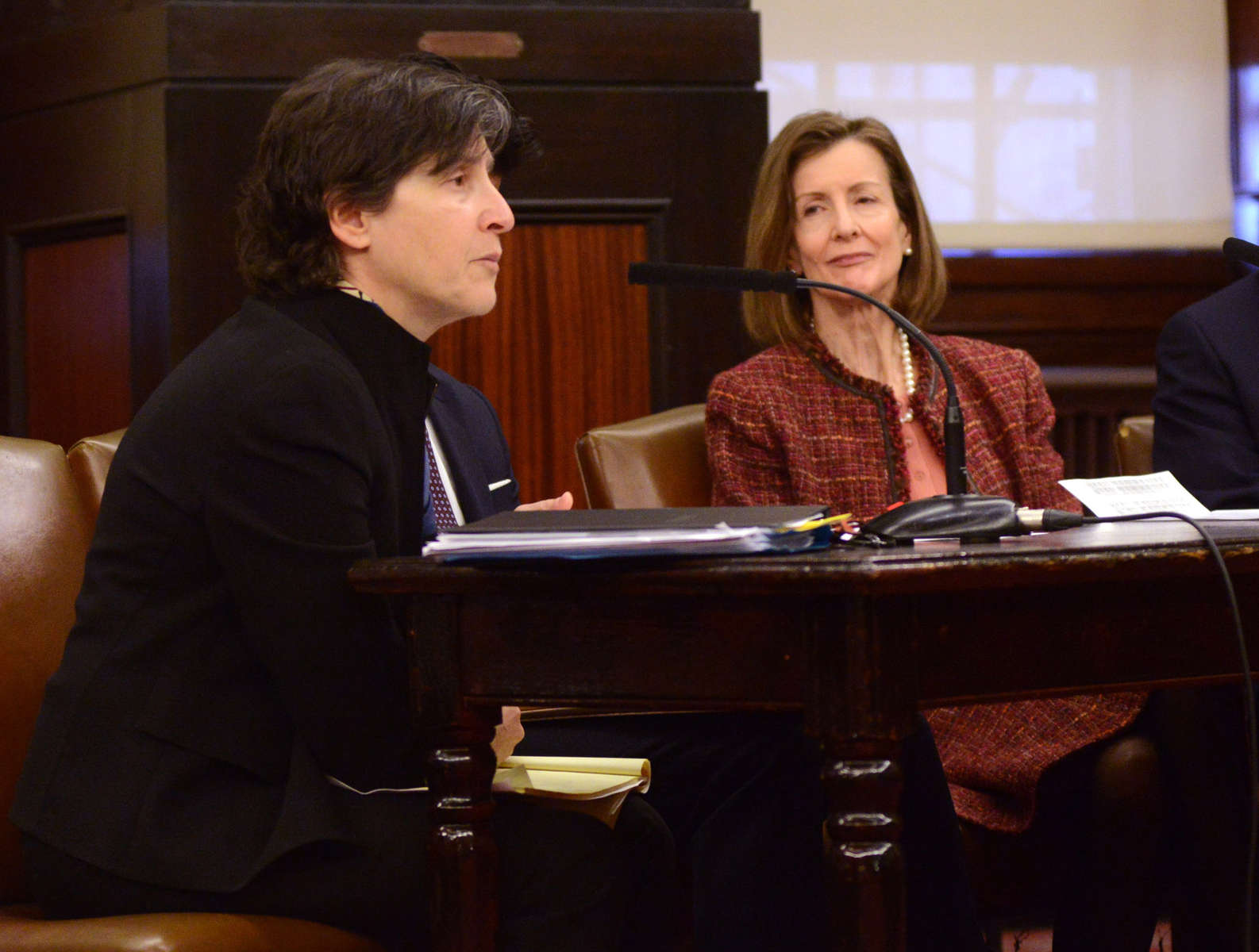 December 15, 2014 - City Council Chamber, City Hall  Elizabeth Glazer- Director of the Mayor’s Office of Criminal Justice, left, testifies at a City Council hearing At right is Melissa Jackson,  Administrative Judge, Criminal Court.. 