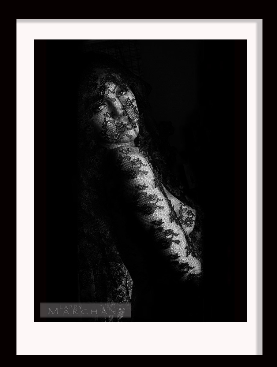 Veiled 220{quote}x28{quote}Silver Gelatin PrintPRICE: $4,100