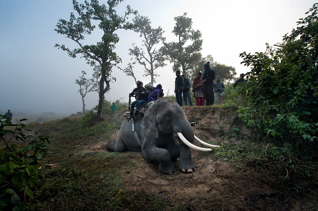 Tourists climb on the back of the elephant near Hattisar Soura elephant stable.