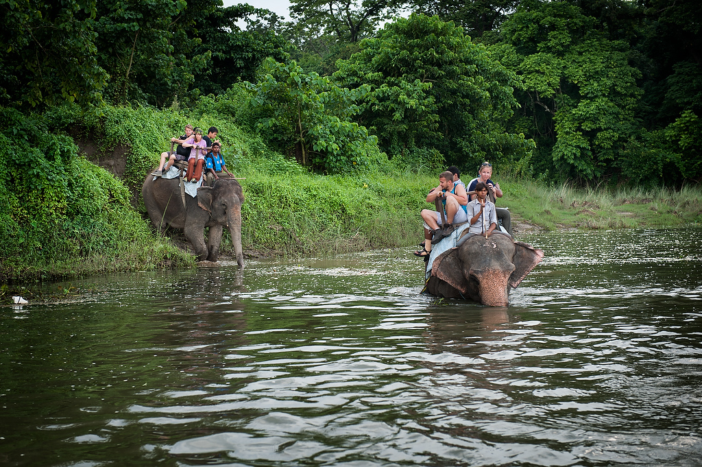 Tourists ride on the back of elephants through the guided tour through Chitwan National Park.