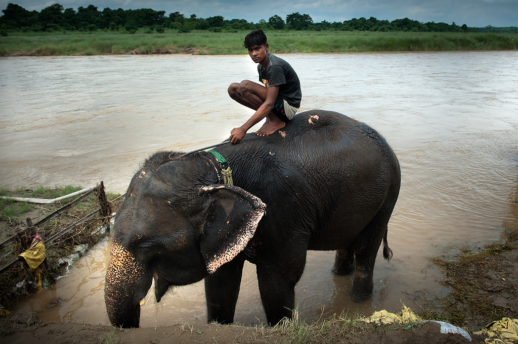 Mahout sits on his elephant awaiting for a group of tourists to watch elephant bathing. This attraction offers to tourist for few dollars to bath the elephant.