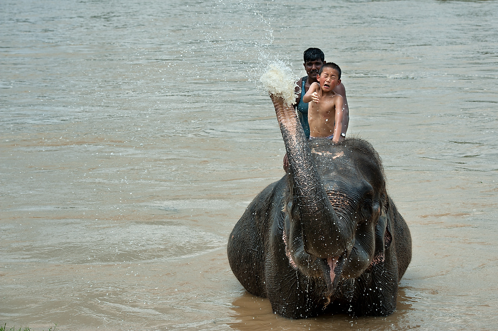 Elephant bathing with tourist in Chitwan National Park.
