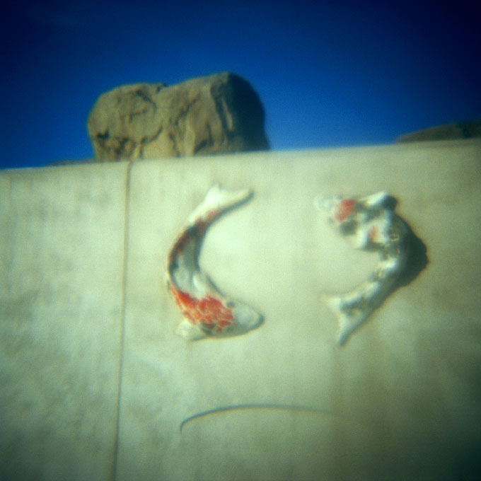 Fish Wall-5Coney Island, Brooklyn, NY 2007