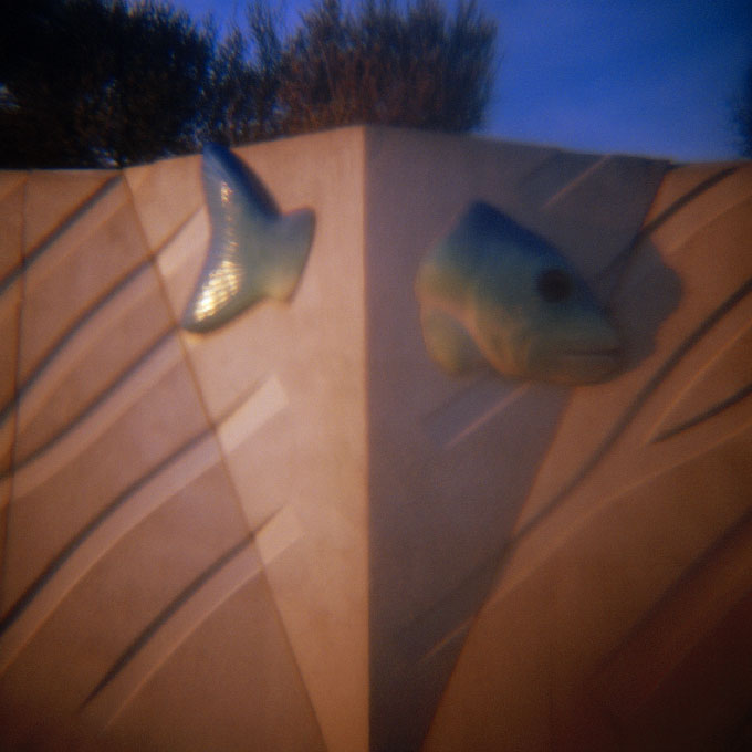 Fish Wall-1Coney Island, Brooklyn, NY 2007