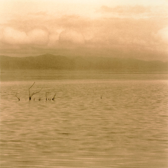 Reeds, Mono Lake.2Lee Vining, California 2003