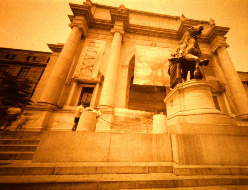 Museum of Natural History II, New York, NY 1997