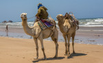 camels_beach