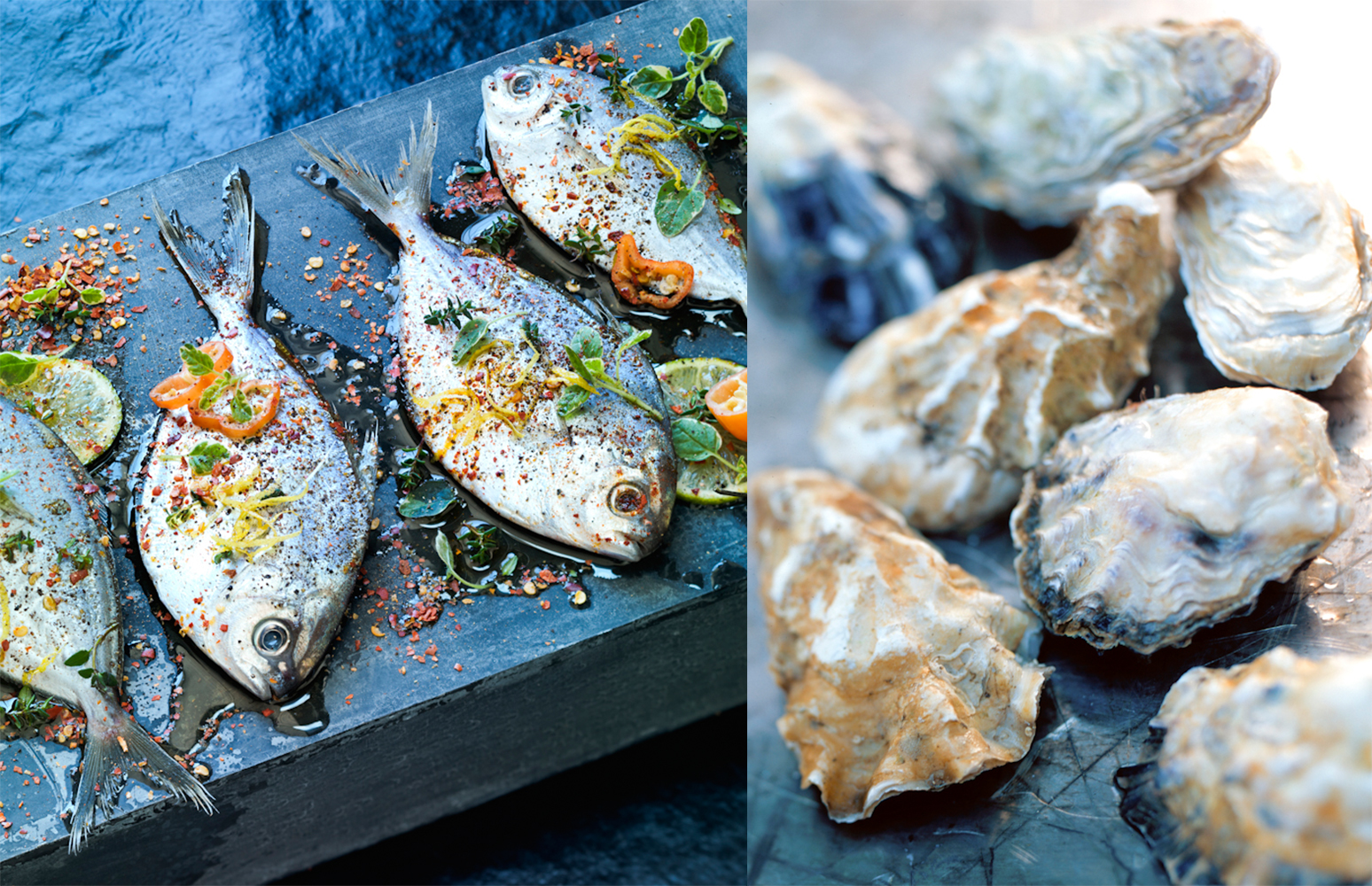 fish_oysters