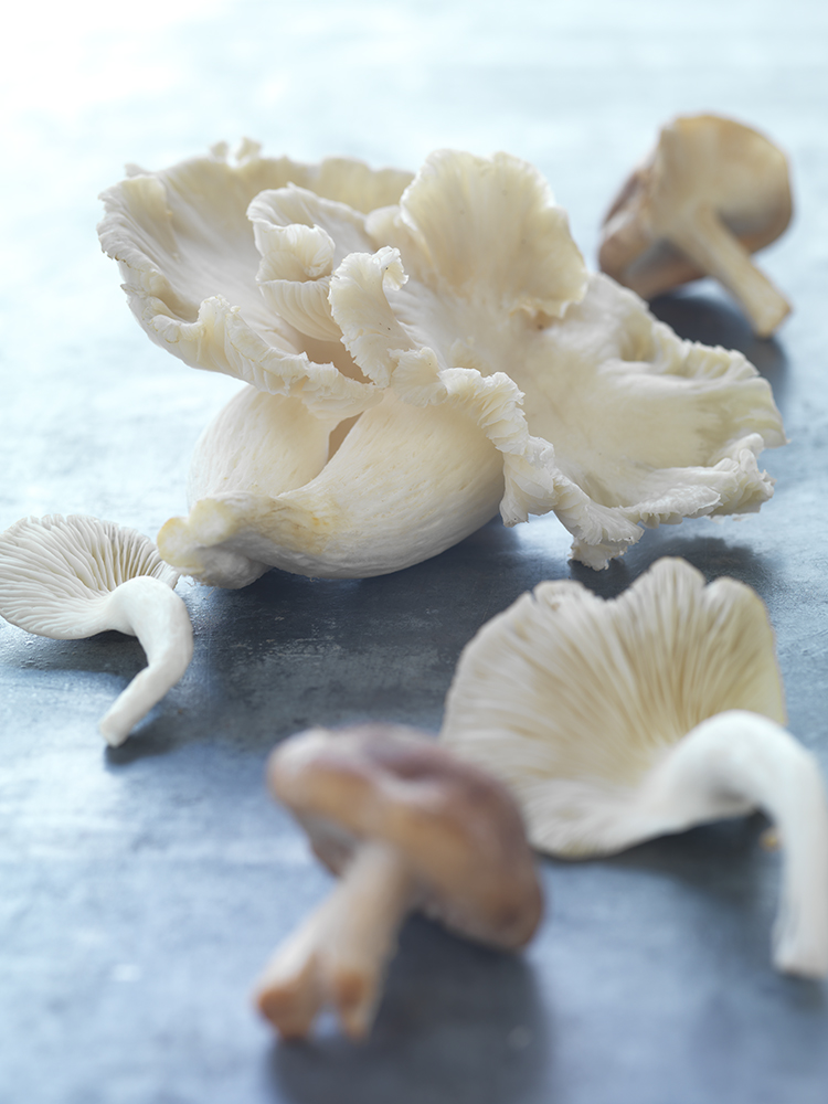 oyster_shiitake_mushrooms_0004