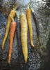 roast_carrots
