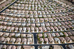 Housing Development, Clark County, Nevada 2009 (091026-0636)