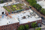 Greenpoint, Brooklyn: Urban agriculture displayed at Eagle Rooftop Farm in Brooklyn.