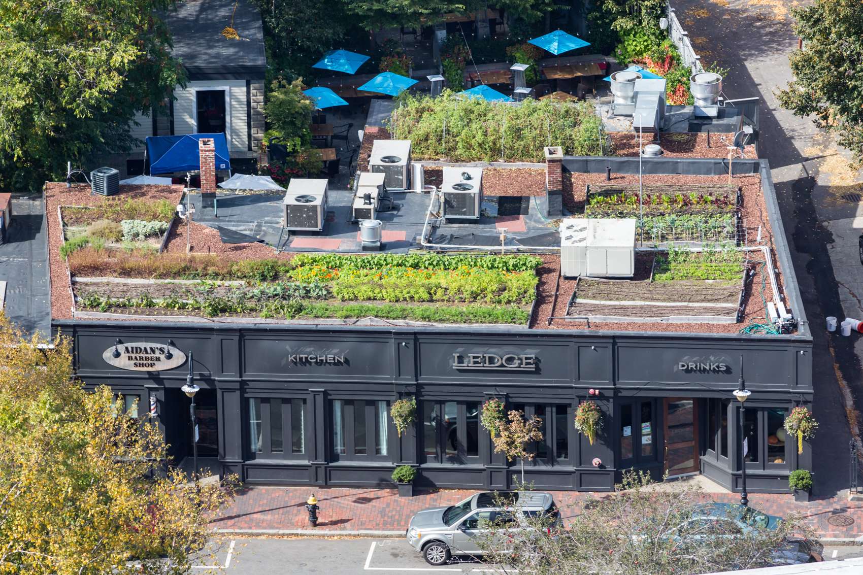 Ledge Kitchen & Drinks - Dorchester Restaurant with  rooftop garden now closed