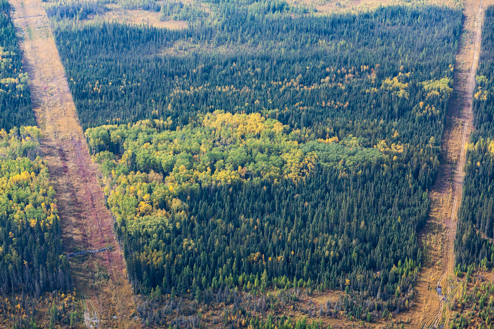 140917-0056-fragmented-forest-alberta-cn-2014-tar-sands-portfolio