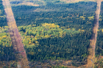 Fragmented Forest, Alberta, Canada 2014