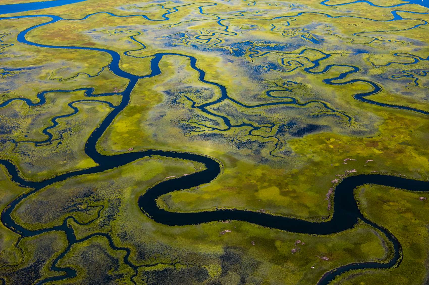 Barrier islands line the lower Delmarva Peninsula on the eastern shore of Virginia. The shallow bay is partially filled in by marshy wetlands. The circulation through the wetlands is driven by tidal currents, passing through the barrier island inlet, lowering and raising water levels in the lagoon.