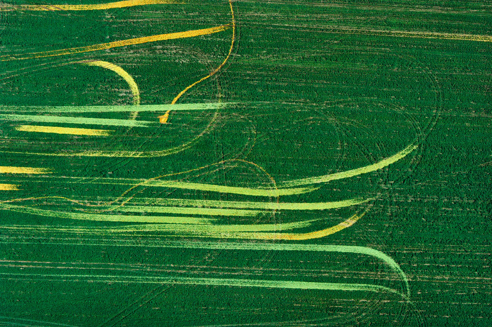 Tracks of Tomatoes in Fields, North Central, Ohio 1990 (LS_4384_25)