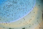 Bathers in Wave PoolOrlando, FloridaFilm, Ref #: LS_6900_25