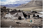 Nomad Camp, Ladakh - 2009