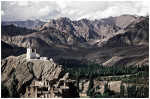Ladakh - 2009