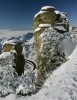 Snow on Mount Lemmon