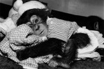 Chimpanzee, female, 5 months old
