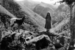Rosa and Goats, Huicholes, Sierra Madres Mountains