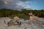 New York Times Magazine, Bahama Swimming Pigs