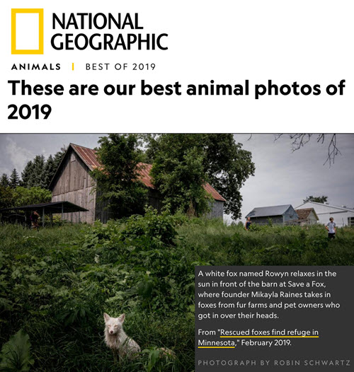  National Geographic: Best Animal Photos of 2019 Honored to have my photograph included with such incredible photographers’s photos. See the story. 