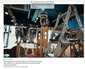  The Year in Pictures 2022 - The New York Times I am honored to have a photo from the Animal Cafe in South Korea assignment included in The New York Times Year in Pictures 2022. I am grateful to my editor, Amy Kellner.Year in Pictures - August https://www.nytimes.com/interactive/2022/world/year-in-pictures.html#august 