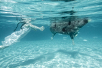 New York Times Magazine, Swimming Teens: Bahamas