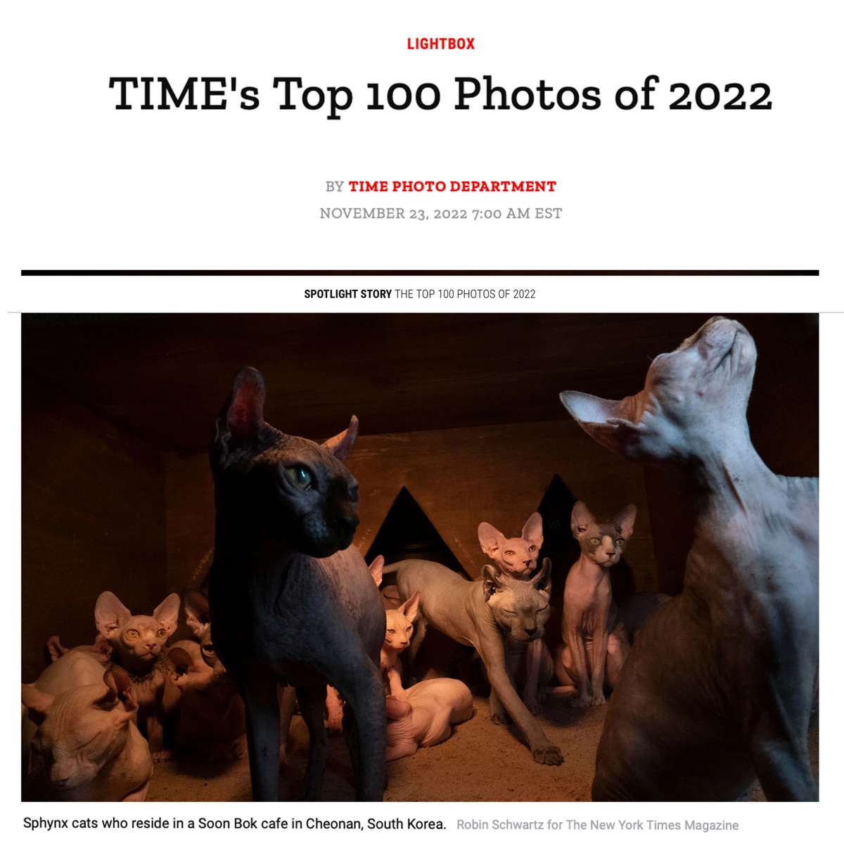  TIME's Top 100 Photos of 2022 https://time.com/6234958/top-100-photos-2022/ What an honor to be included 